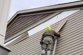 Best Insulated Siding Installation  in Odessa, FL